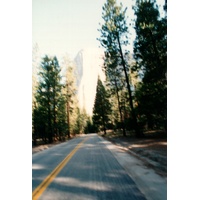 照片 美国(United States) 优胜美地国家公园(Yosemite National Park) 1992-08 11