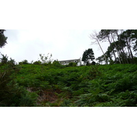 照片 法国(France) 卡朗泰克(Carantec) 2007-08 22
