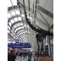 照片 美国(United States) 芝加哥(Chicago) 2006-03 5