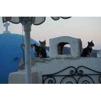 照片 希腊(Greece) 圣托里尼岛(Santorini) 伊亚洞穴屋(Oia cave house) 2016-07 23