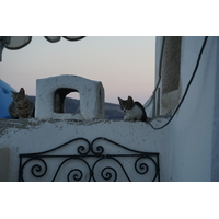 照片 希腊(Greece) 圣托里尼岛(Santorini) 伊亚洞穴屋(Oia cave house) 2016-07 18