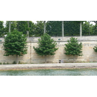 照片 法国(France) 巴黎(Paris) 塞纳河(Seine river) 2007-06 102