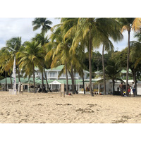 照片 瓜德罗普(Guadeloupe) 卡拉维尔海滩(La Caravelle Beach) 2021-02 161