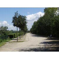 照片 法国(France) 科隆布(Colombes) 马朗特岛(L'ile Marrante) 2007-07 17