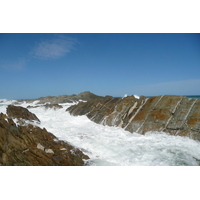 照片 南非(South Africa) 齐齐卡马国家公园(Tsitsikamma National Park) 2008-09 448