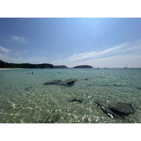 照片 泰国(Thailand) 普吉岛(Phuket) 奈函海滩(Nai Harn Beach) 2021-12 2