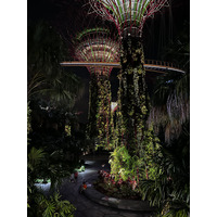 照片 新加坡(Singapore) 滨海湾花园(Garden by the bay) 2023-01 33