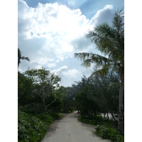 照片 新喀里多尼亚(New Caledonia) 利富岛(Lifou) 夏多布里昂湾(Chateaubriand Bay) 2010-05 4