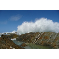 照片 南非(South Africa) 齐齐卡马国家公园(Tsitsikamma National Park) 2008-09 101