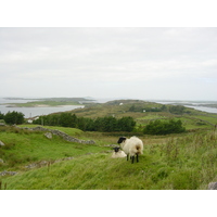 照片 爱尔兰(Ireland) 康尼马拉(Connemara) 2003-09 43