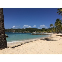 照片 瓜德罗普(Guadeloupe) 卡拉维尔海滩(La Caravelle Beach) 2021-02 54