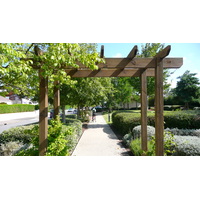 照片 法国(France) 滨海拉普莱讷(La Plaine sur mer) 2007-07 21