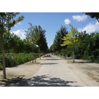 照片 法国(France) 科隆布(Colombes) 马朗特岛(L'ile Marrante) 2007-07 41