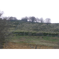 照片 法国(France) 奥布拉克(L'Aubrac) 2008-04 49