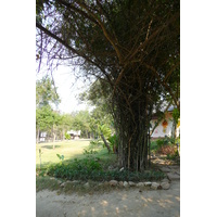 照片 泰国(Thailand) 春武里(Chonburi) 赛乔海滩(Sai Keaw Beach) 2008-01 3