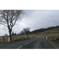 照片 法国(France) 奥布拉克(L'Aubrac) 2008-04 63