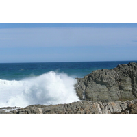 照片 南非(South Africa) 齐齐卡马国家公园(Tsitsikamma National Park) 2008-09 31