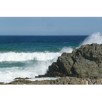 照片 南非(South Africa) 齐齐卡马国家公园(Tsitsikamma National Park) 2008-09 78
