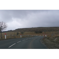 照片 法国(France) 奥布拉克(L'Aubrac) 2008-04 74
