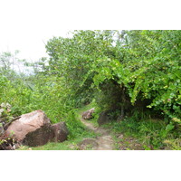 照片 塞舌尔(Seychelles) 拉齐奥湾(Anse Lazio) 2011-10 113