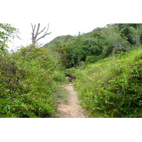 照片 塞舌尔(Seychelles) 拉齐奥湾(Anse Lazio) 2011-10 110