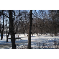 照片 俄罗斯(Russia) 圣彼得堡(St Petersburg) 夏园(Summer Garden) 2006-03 3