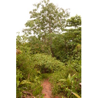 照片 塞舌尔(Seychelles) 拉齐奥湾(Anse Lazio) 2011-10 82
