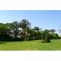照片 埃及(Egypt) 沙姆沙伊赫(Sharm el Sheikh) 四季酒店(Four Seasons Hotel) 2008-06 6