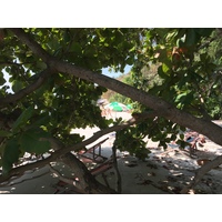 照片 泰国(Thailand) 沙美岛(Ko Samet) 2014-12 350