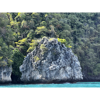 照片 泰国(Thailand) 小皮皮岛(Ko Phi Phi Ley) 2021-12 142