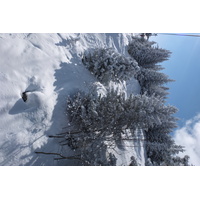 照片 法国(France) 三峡谷滑雪场(Les 3 Vallees) 2013-03 115