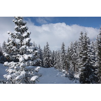 照片 法国(France) 三峡谷滑雪场(Les 3 Vallees) 2013-03 129
