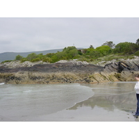 照片 爱尔兰(Ireland) 凯里郡(Kerry) 帕克纳西拉(Parknasilla) 2004-05 43