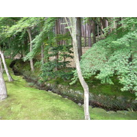 照片 日本(Japan) 京都(Kyoto) 银阁寺(Ginkakuji Temple(Silver Pavilion)) 2010-06 3