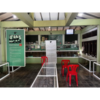 照片 柬埔寨(Cambodia) 暹粒(Siem Reap) 柬埔寨地雷博物馆(Cambodia Landmine Museum) 2023-01 18