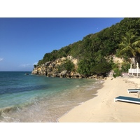 照片 瓜德罗普(Guadeloupe) 卡拉维尔海滩(La Caravelle Beach) 2021-02 62