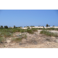 照片 以色列(Israel) 尼灿(Nitzan) 2007-06 80