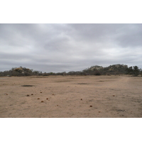照片 南非(South Africa) 克鲁格国家公园(Kruger National Park) 2008-09 191