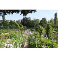 照片 法国(France) 吉维尼(Giverny) 2013-06 121