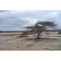 照片 南非(South Africa) 克鲁格国家公园(Kruger National Park) 2008-09 5