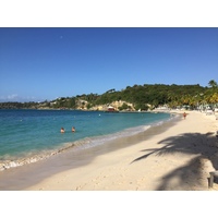 照片 瓜德罗普(Guadeloupe) 卡拉维尔海滩(La Caravelle Beach) 2021-02 112