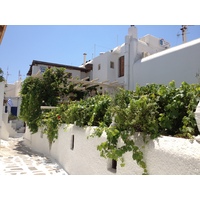 照片 希腊(Greece) 米科诺斯岛(Mykonos) 2014-07 294
