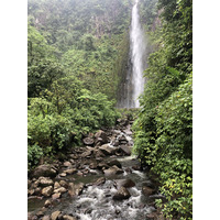 照片 瓜德罗普(Guadeloupe) 卡尔贝瀑布(Carbet Falls) 2021-02 39