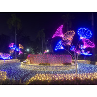 照片 泰国(Thailand) 清迈(Chiang Mai) 农布阿哈公园(Nong Buak Haad Public Park) 2024-01 57