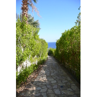 照片 埃及(Egypt) 沙姆沙伊赫(Sharm el Sheikh) 四季酒店(Four Seasons Hotel) 2008-06 118