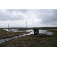 照片 法国(France) 奥布拉克(L'Aubrac) 2008-04 125