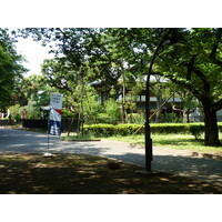 照片 日本(Japan) 东京(Tokyo) 上野(Ueno) 2010-06 85