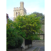 照片 英国(United Kingdom) 牛津(Oxford) 2005-05 10