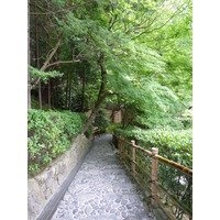 照片 日本(Japan) 京都(Kyoto) 银阁寺(Ginkakuji Temple(Silver Pavilion)) 2010-06 16