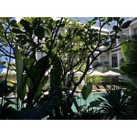 照片 柬埔寨(Cambodia) 暹粒(Siem Reap) 高棉之家精品酒店(Khmer House Boutique Hotel) 2023-01 32